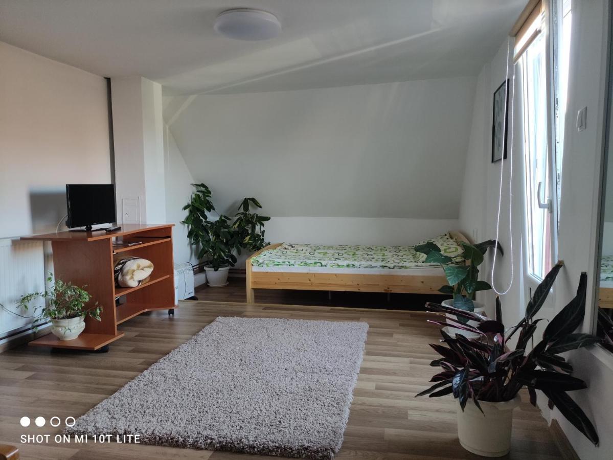 Ferienwohnung Rita Vendeghaz Ciumani Exterior foto