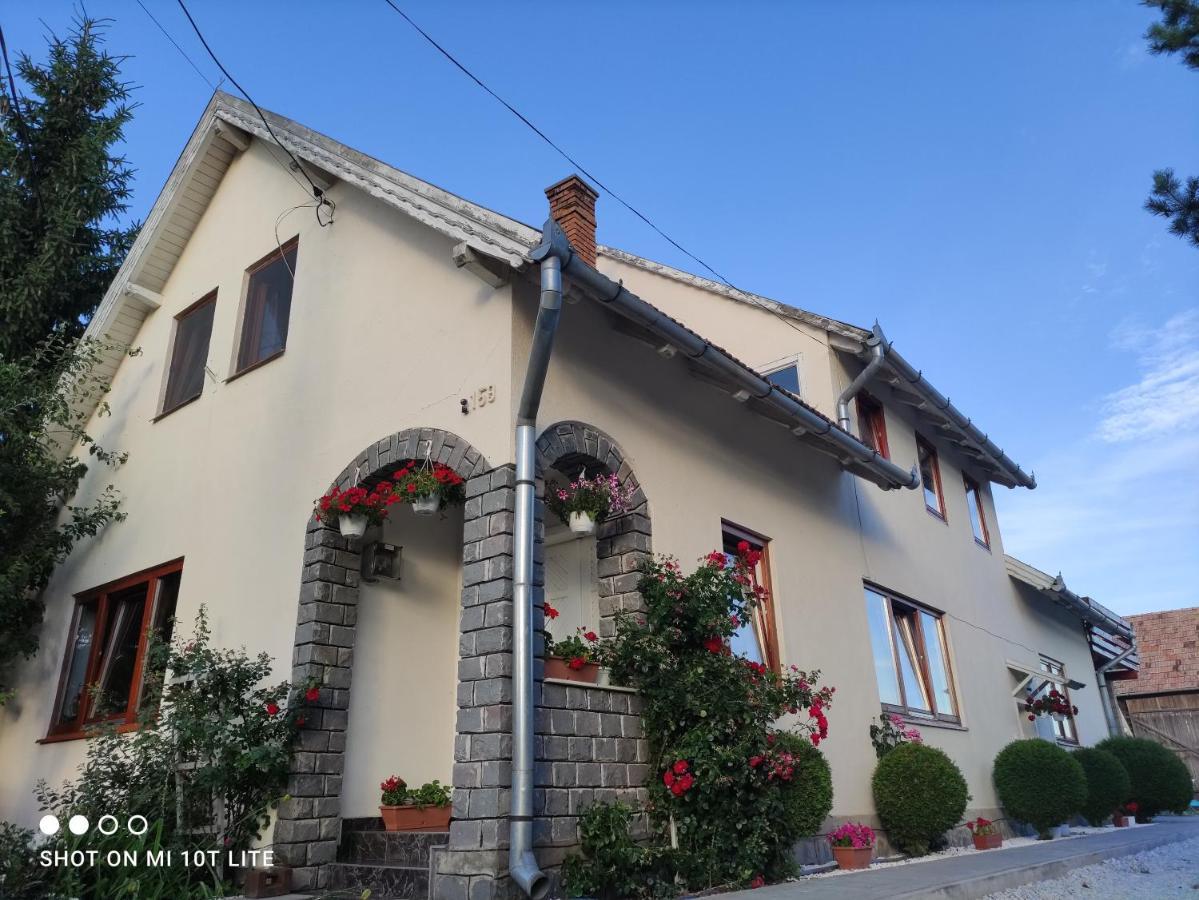 Ferienwohnung Rita Vendeghaz Ciumani Exterior foto