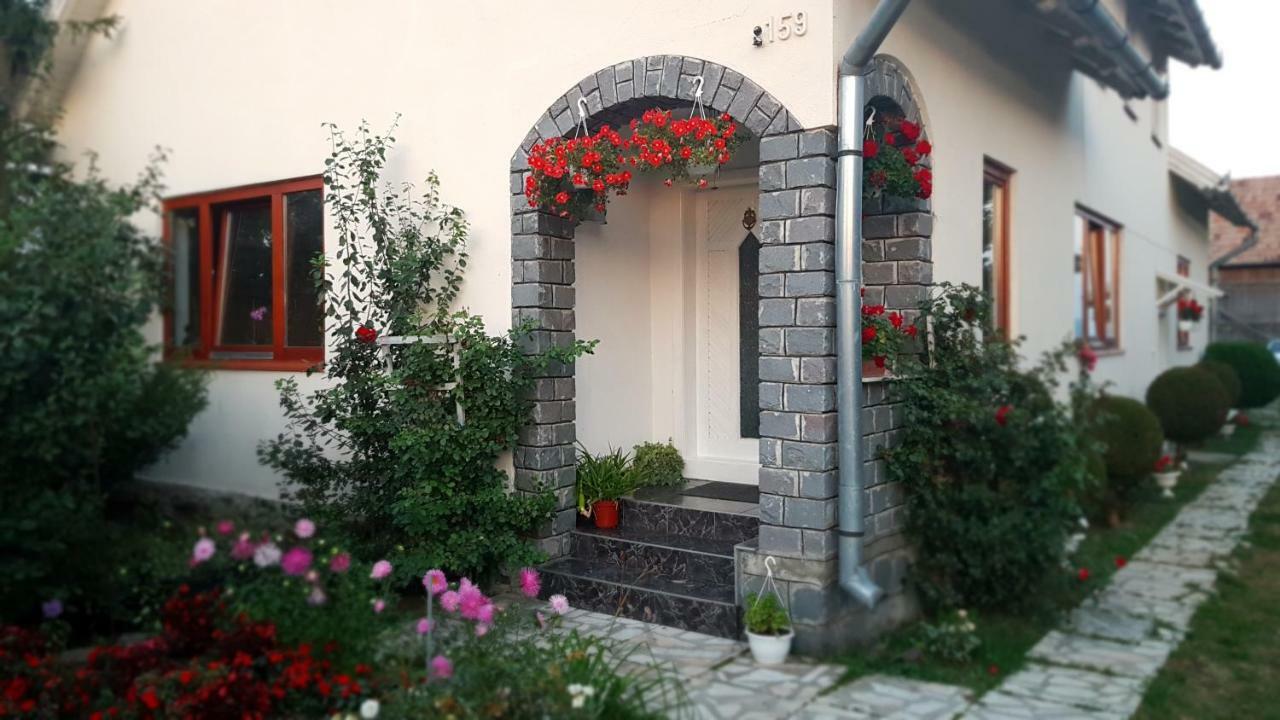 Ferienwohnung Rita Vendeghaz Ciumani Exterior foto